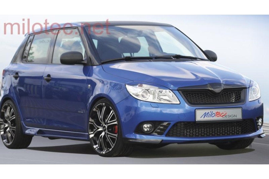 Skoda Fabia 2 Румстер